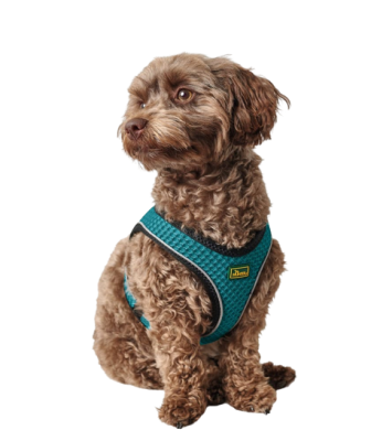 Hunter - Geschirr Hilo Comfort, Hunter Geschirr, Hilo von Hunter, Hundegeschirr