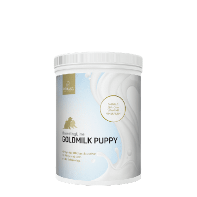 Pokusa - BreedingLine GOLDMilk puppy