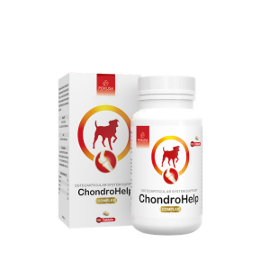 Pokusa - ChondroHelp Gelenktabletten für Hunde 120 Tabletten