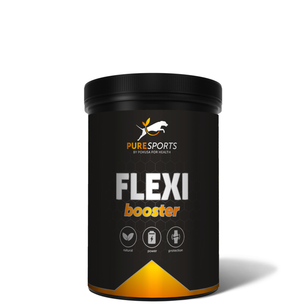 PureSports Flexi Booster - natürliche Ergänzung für aktive Hunde für ausgewachsene, aktive Hunde für optimale Kondition und Unterstützung des Bewegungsapparates Kollagen nährt das Bindegewebe und Boswellia verbessert die Blutzirkulation Das Produkt richtet sich an ausgewachsene Hunde, insbesondere für aktive Hunde und Rassen, die zu Gelenk- und Muskelproblemen neigen. Die Mischung aus leicht vom Körper aufzunehmenden Inhaltsstoffen wurde entwickelt, um eine optimale Kondition zu erhalten und das Muskel-Skelett-System zu unterstützen. Hydrolysiertes Fischkollagen vom Typ II nährt das Bindegewebe, das unter anderem die Gelenke und Knochen aufbaut. Boswelliasäuren verbessern die Durchblutung und reduzieren Schwellungen im Bewegungsapparat.