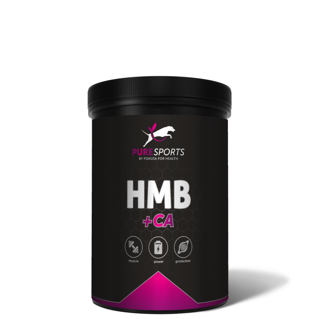Pokusa - PureSports HMB + CA 250g Pulver Es erhöht die körperliche Leistungsfähigkeit. Trägt zum Wachstum von Kraft und Muskelmasse bei und beschleunigt deren Regeneration. Das Produkt richtet sich an Sporthunde, die an das Training herangeführt werden, als auch sich in der Genesung befindende Muskeln, welche nach Behandlungen oder Verletzungen Unterstützung benötigen. Es hilft den Abbau von Muskelproteinen zu hemmen, steigert die körperliche Belastbarkeit. Es trägt zu mehr Kraft und Muskelmasse bei und beschleunigt deren Regeneration. Anwendungshinweis: Sport- und Arbeitshunde während der Rekonvaleszenz erhöht die Muskelmasse. Ergänzungsfuttermittel für Hunde.