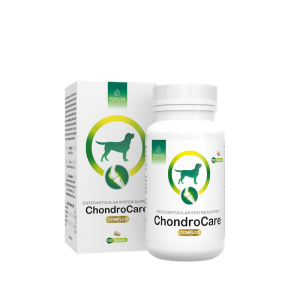 Pokusa - ChondroCare Gelenktabletten für Hunde 120 Tabletten