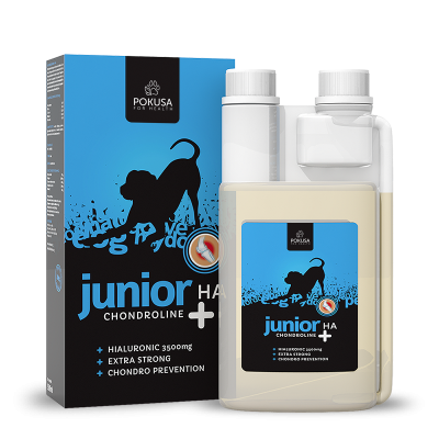 Pokusa - Chondroline Junior+HA 500 ml