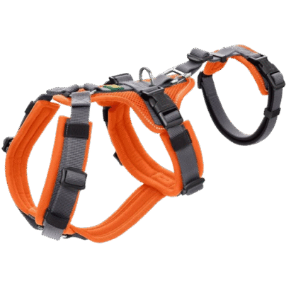 Hunter - Sicherheitsgeschirr Maldon orange/grau