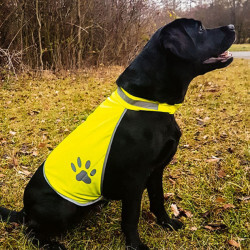 Dogsmart - Hundewarnweste Uni