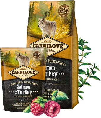 Carnilove - Adult Large Lachs Truthahn 12 kg