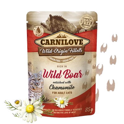 Carnilove- Fel Adult Pouch Ragout Wild 24x85g