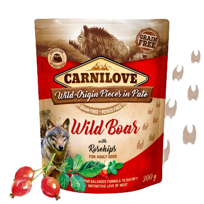 Carnilove- Adult Pouch Paté Wildschwein 12x300g
