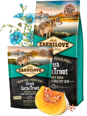 Carnilove - Fresh Adult Karpfen Forelle 12kg