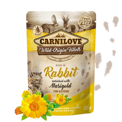 Carnilove- Kitten Pouch Ragout Kaninchen 24x85g