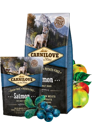 Carnilove - Adult Lachs 12 kg
