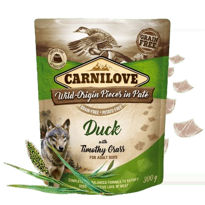 Carnilove - Adult Pouch Paté Ente 12x300g