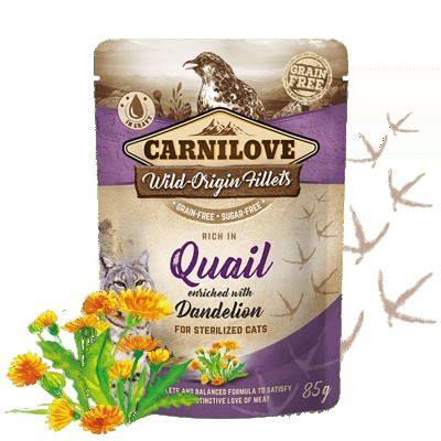 Carnilove - Fel Adult Pouch Ragout Sterilised 24x85g