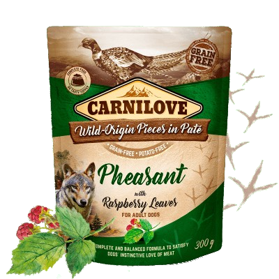 Carnilove - Adult Pouch Paté Fasan 12x300g