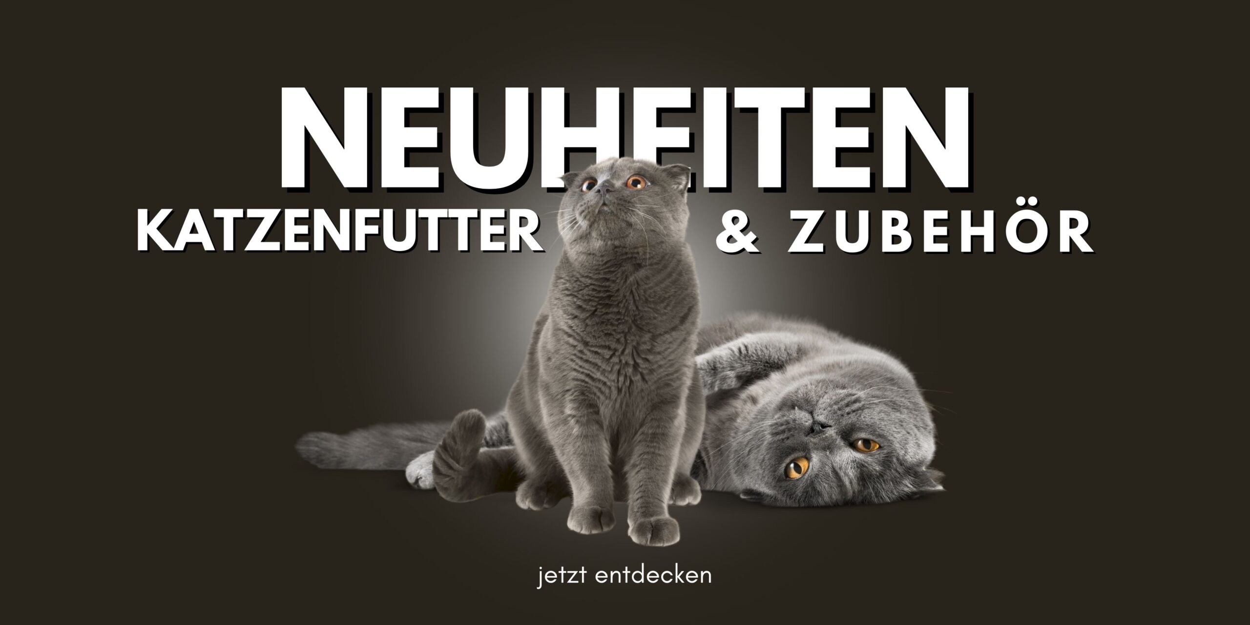 Neuheiten Katzenfutter, Katzenzubehör