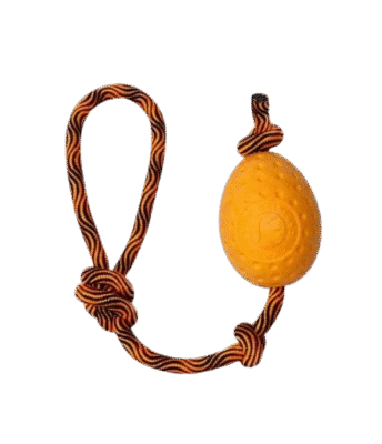 KIWI WALKER - Ei Orange Maxi