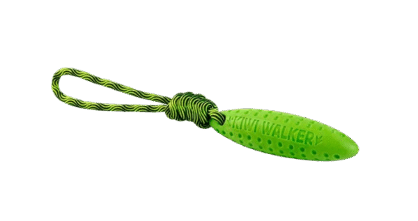 KIWI WALKER - Zeppelin Grün