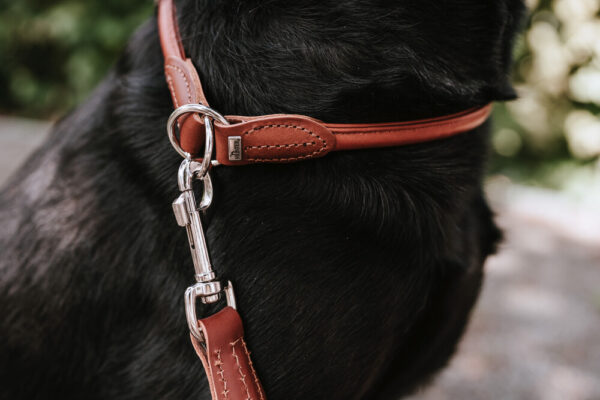 Hunter -Dressurhalsung Round & Soft Canadian Up