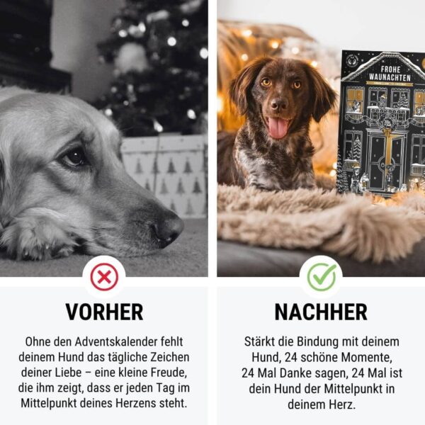 Tales & Tails - VORVERKAUF Frohe Waunachten - Hunde Adventskalender