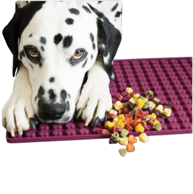 Collory - Backmatten für Hundeleckerlies - Herzform