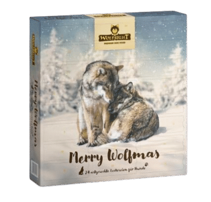 Wolfsblut - Adventskalender für Hunde