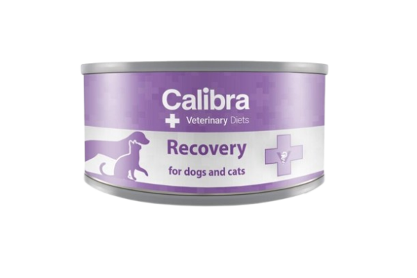 Calibra Veterinary Diets - Can/Fel Recovery 6x100g