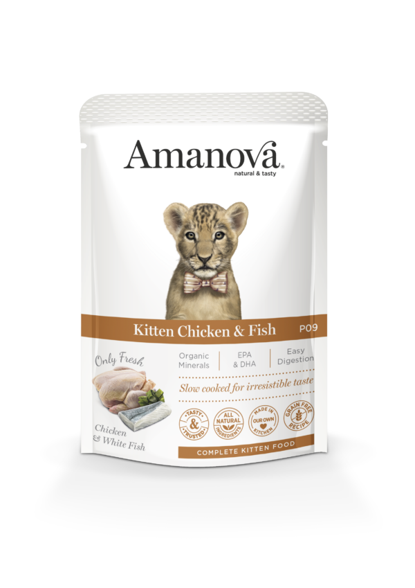 Amanova – Fel Kitten GF Huhn+Fisch 85g P09