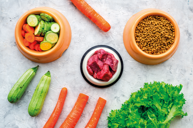 Superfoods für Supertiere