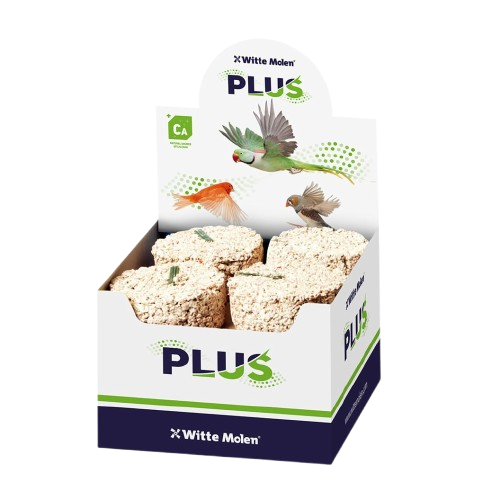 Witte Molen - Mineralblock mittel/grob