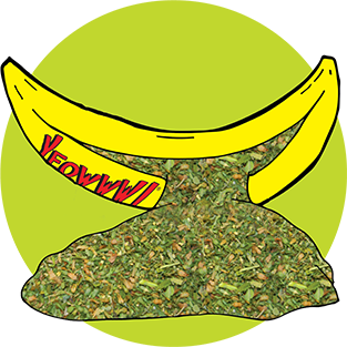 Yeowww!® Katzenminze