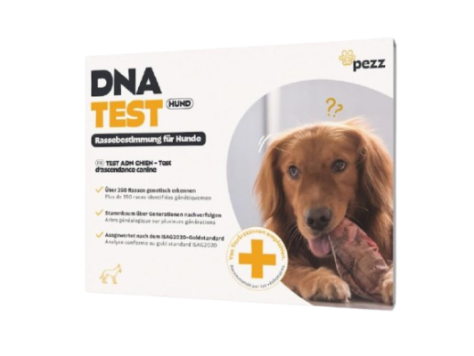 Pezz Life - DNA-Test Rassebestimmung für Hunde