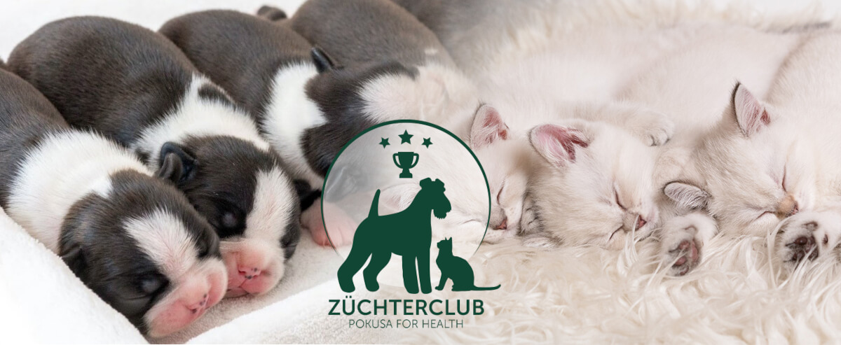 Pokusa_Züchterclub