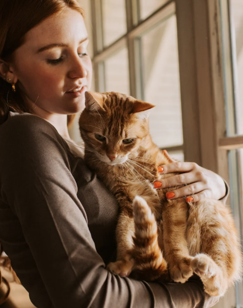 Katzenbetreuung in 5630 Muri AG