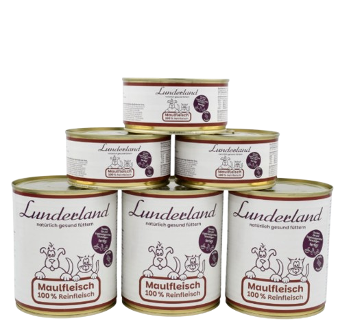 Lunderland - Lachs