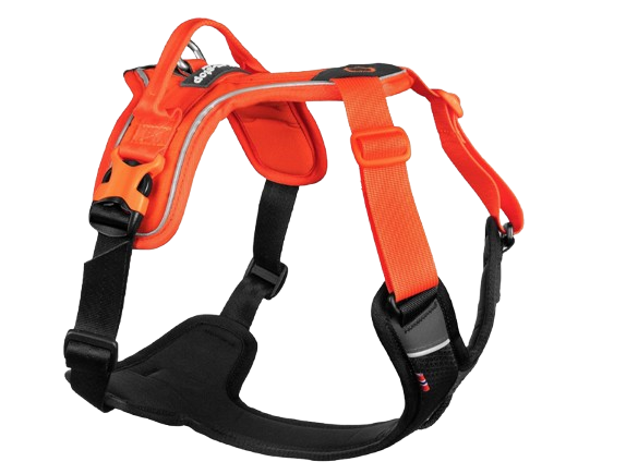 Non-stop dogwear Ramble Harness Orange