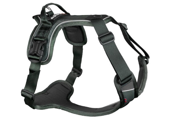 Non-stop dogwear Ramble Harness Grün