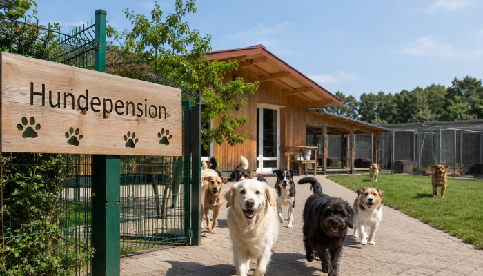 Zum Blogartikel: Alles über Hundepensionen